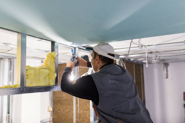 Best Radiant Barrier Insulation  in Tropical Park, FL